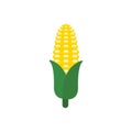 corn flat design vector illustration isolated on white background. organic logo vector organic agriculture corning field corncob Royalty Free Stock Photo