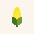 Corn flat design vector illustration. Corn yellow flat icon food natural illustration organic logo vector organic agriculture Royalty Free Stock Photo