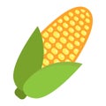 Corn flat icon, vegetable and mazie