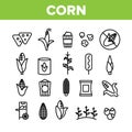 Corn Food Collection Elements Icons Set Vector Royalty Free Stock Photo