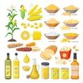 Corn food, set of maize meal, corn oil, corn stickes, cornflakes, pop corn, grits, flour, starch, kernels, plant, bread Royalty Free Stock Photo