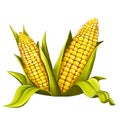 corn , food, yellow, didgital illustration for print
