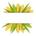 Corn frame card template, vector realistic illustration Royalty Free Stock Photo