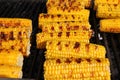 Corn. Fresh organic corn cobs grilling on a barbeque. Grilled corns. Yellow baked corn cobs. Grilled corn background texture. Roas Royalty Free Stock Photo