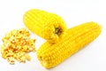 Corn fresh and pop corn