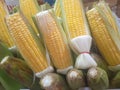 Corn fruit Makanan Royalty Free Stock Photo