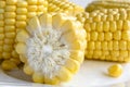 Corn cut in half, close up. Corn Grain Background. Field corn ears on a pile of shelled kernels with corn ear Royalty Free Stock Photo