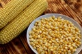 Fresh harvest of ripe, juicy, young corn Royalty Free Stock Photo