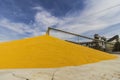 Corn and Grain Handling or Harvesting Terminal. Corn Can be Used for Food, Feed or Ethanol I Royalty Free Stock Photo