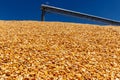 Corn and Grain Handling or Harvesting Terminal. Corn Can be Used for Food, Feed or Ethanol IV Royalty Free Stock Photo