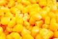 Corn grain texture. Yellow corns as background. Corn vegetable pattern. Background of bulk of yellow corn grains. Shiny Royalty Free Stock Photo