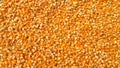 Corn grains background Extreme close-up image of corn Royalty Free Stock Photo