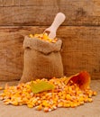 Corn grains in bag with wooden scoop Royalty Free Stock Photo