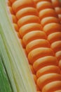 Corn grains in close-up closeup, rows of fresh and ripe yellow corn kernels, corn cob. Close-up full-screen, continuous abstract