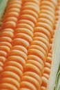 Corn grains in close-up closeup, rows of fresh and ripe yellow corn kernels, corn cob. Close-up full-screen, continuous abstract