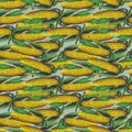 Corn graphic color seamless pattern sketch illustration