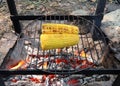 Corn grilled on fire Royalty Free Stock Photo