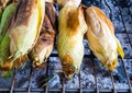 Corn are grilled on grill grates Royalty Free Stock Photo