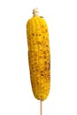 Corn grilled