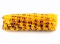 Corn grilled on a white background