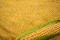 Corn grits and fresh corn. Flat lay. Copy space. Royalty Free Stock Photo