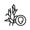 corn groat line icon vector illustration