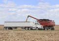 Corn Harvest