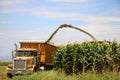 Corn Harvest