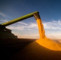 Corn harvest on a farmland Royalty Free Stock Photo