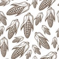 Corn harvest, organic food raw ingredient seamless pattern Royalty Free Stock Photo