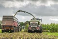 Corn harvest vehicles frontal rear 2