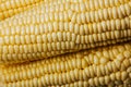 Corn is the highest yield crop in the world