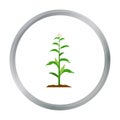 Corn icon cartoon. Single plant icon from the big farm, garden, agriculture cartoon. Royalty Free Stock Photo