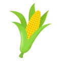 Corn icon, cartoon style