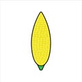 Corn icon design logo illustration template web vector simple