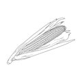 Corn icon illustration Royalty Free Stock Photo