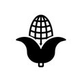 Black solid icon for Corn, maize and agricultural Royalty Free Stock Photo