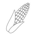 Corn icon outline. Singe vegetables icon from the eco food outline.