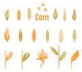 Corn icons. Agriculture Logo template. Royalty Free Stock Photo