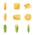 Corn icons set cartoon vector. Cereal plant