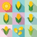 Corn icons set, flat style