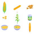 Corn icons set, isometric style