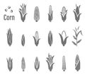 Corn icons. Vector illustration.