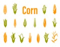 Corn icons. Vector illustration isolated on white background. Royalty Free Stock Photo