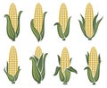 Corn images set Royalty Free Stock Photo