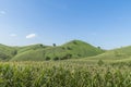 Corn industry on the Mountain in Thailand Royalty Free Stock Photo