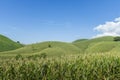Corn industry on the Mountain in Thailand Royalty Free Stock Photo