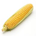 Corn isolated Royalty Free Stock Photo