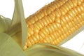 Corn