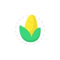 corn illustration on white background. Yellow corn clipart. corn flat icon